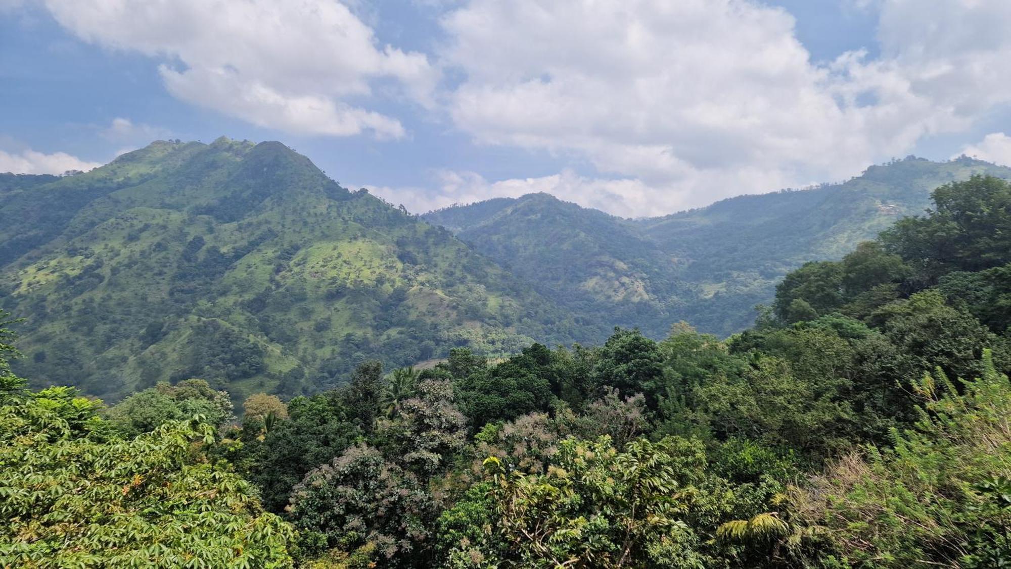 Ella Wild Waterfall Inn ภายนอก รูปภาพ