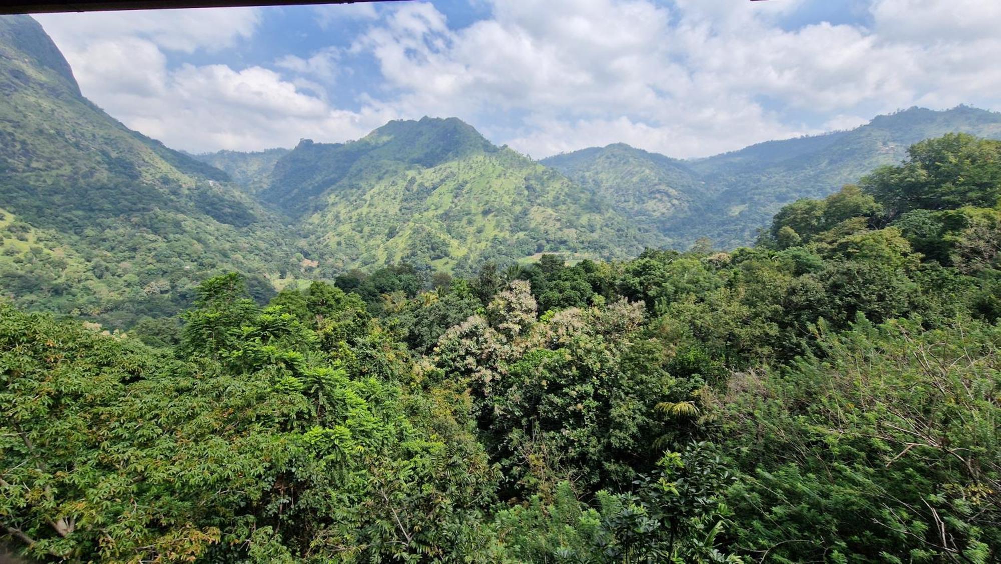 Ella Wild Waterfall Inn ภายนอก รูปภาพ
