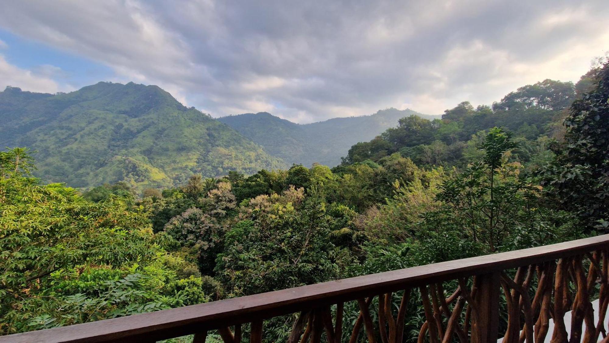 Ella Wild Waterfall Inn ภายนอก รูปภาพ